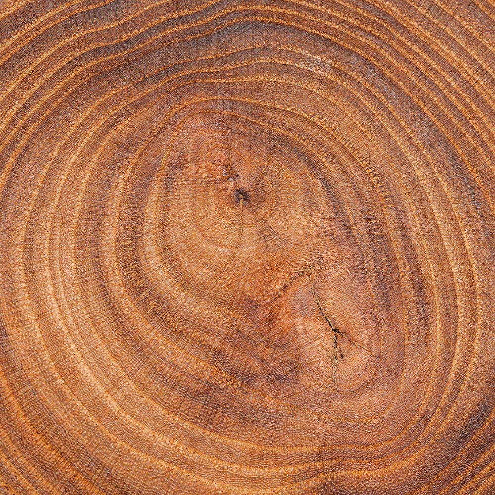 effepi-crescita